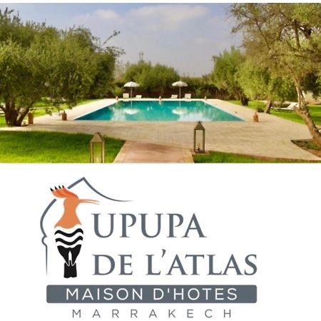 Upupa De L'Atlas Oulad el Guern Exterior foto