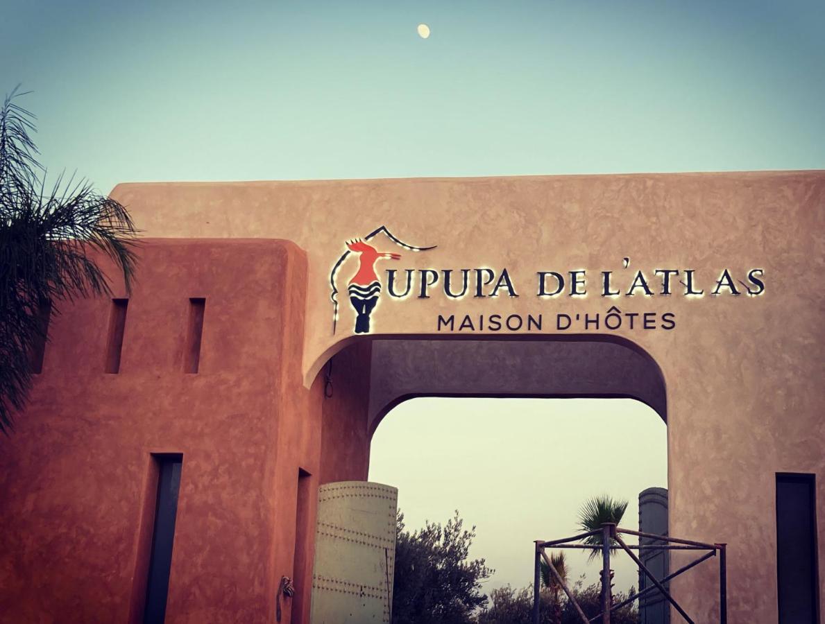 Upupa De L'Atlas Oulad el Guern Exterior foto