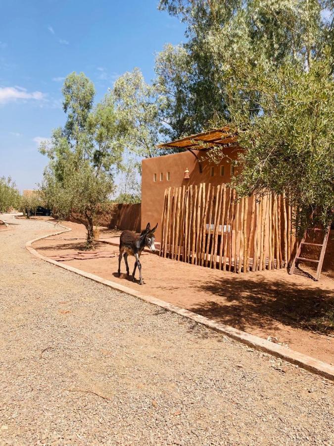Upupa De L'Atlas Oulad el Guern Exterior foto