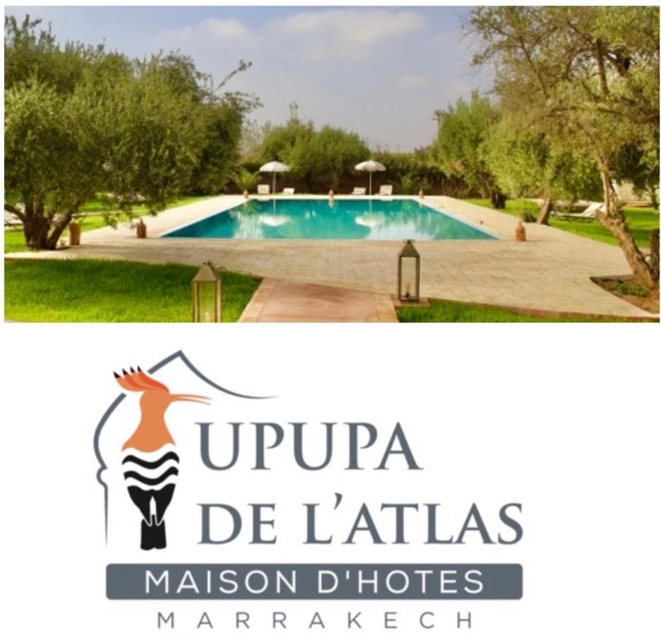 Upupa De L'Atlas Oulad el Guern Exterior foto