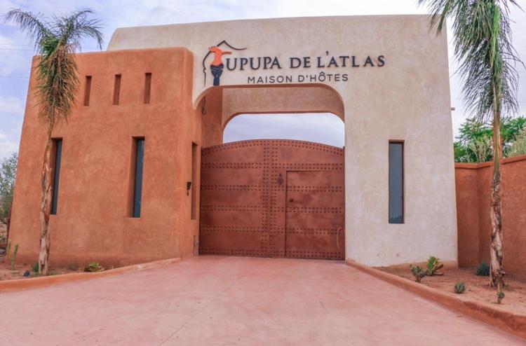 Upupa De L'Atlas Oulad el Guern Exterior foto
