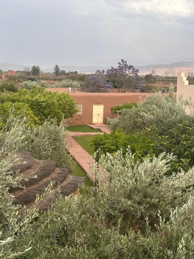 Upupa De L'Atlas Oulad el Guern Exterior foto